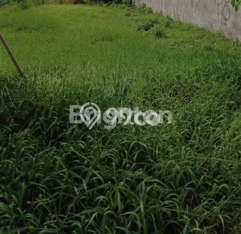 Tanah untuk Disewakan di Denpasar Selatan Denpasar SHM Tanah untuk Disewakan di Denpasar Selatan Denpasar SHM