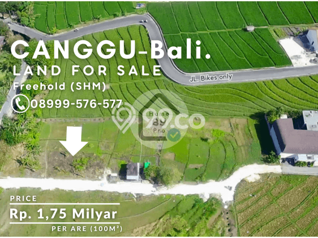 Dijual Tanah 500m2 di Canggu, Badung Dijual Tanah 500m2 di Canggu, Badung