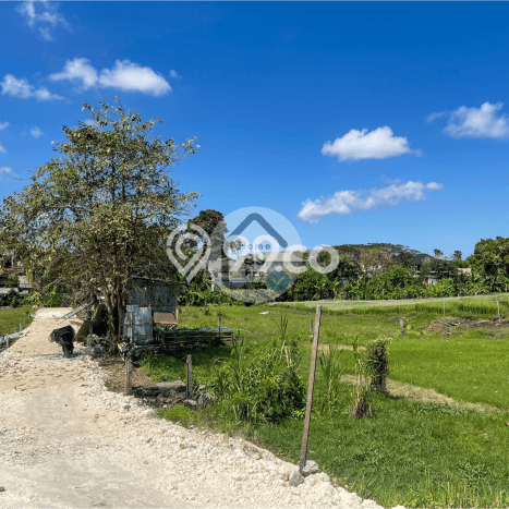 Dijual Tanah 500m2 di Canggu, Badung Dijual Tanah 500m2 di Canggu, Badung