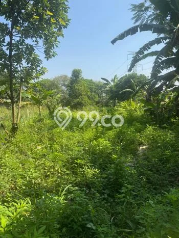 Tanah Disewakan Kawasan , Luas 49000m2m², Ideal untuk Bisnis Tanah Disewakan Kawasan , Luas 49000m2m², Ideal untuk Bisnis