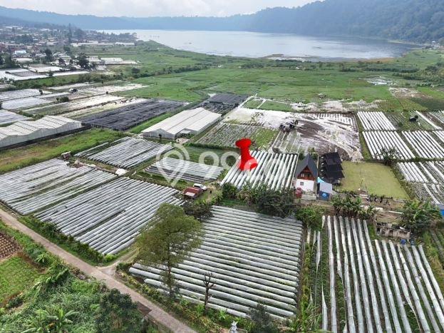 Dijual Tanah 500m2 di Bedugul, Tabanan Dijual Tanah 500m2 di Bedugul, Tabanan
