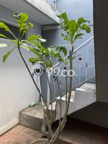 Hunian Nyaman Asri 2 KT Siap Pakai di Taman Griya Badung Hunian Nyaman Asri 2 KT Siap Pakai di Taman Griya Badung