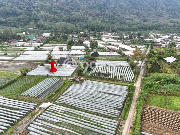 Dijual Tanah 500m2 di Bedugul, Tabanan Dijual Tanah 500m2 di Bedugul, Tabanan