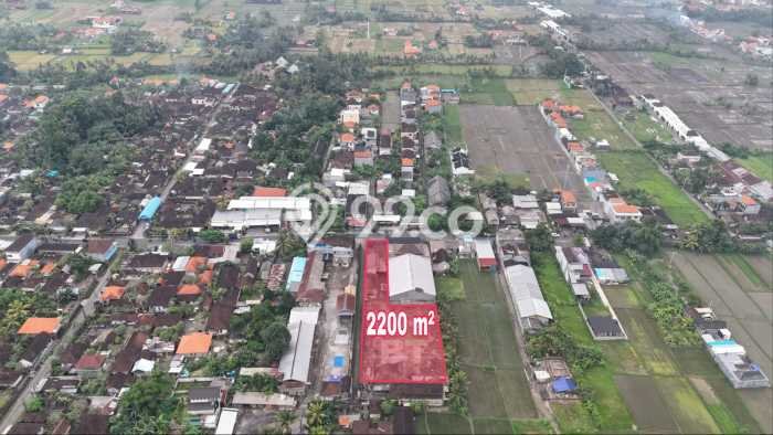Lahan Kosong Dijual di Ubud, Gianyar, Luas 2200m2 Area Strategis Lahan Kosong Dijual di Ubud, Gianyar, Luas 2200m2 Area Strategis