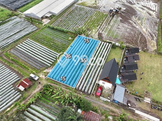 Dijual Tanah 500m2 di Bedugul, Tabanan Dijual Tanah 500m2 di Bedugul, Tabanan