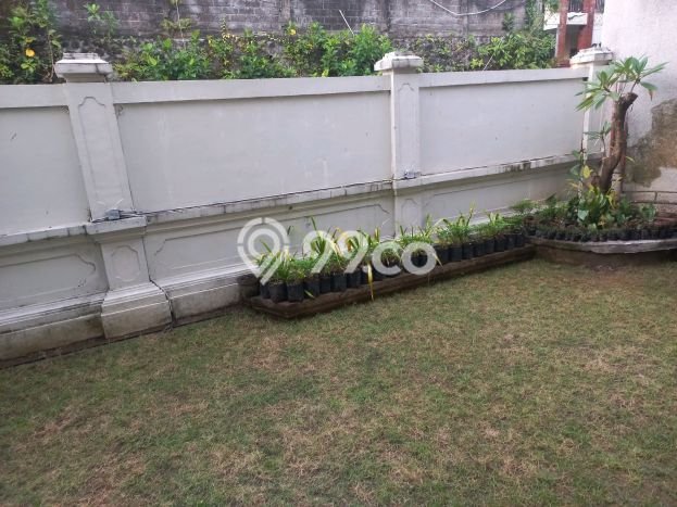 Sewa Rumah Harga Terjangkau di Gatot Subroto Denpasar Punya 5 KT Sewa Rumah Harga Terjangkau di Gatot Subroto Denpasar Punya 5 KT