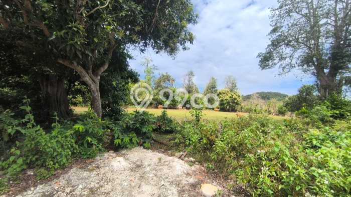 Tanah Kawasan Balangan, Luas 1880m2m², Akses Balangan, Badung, Badung Tanah Kawasan Balangan, Luas 1880m2m², Akses Balangan, Badung, Badung