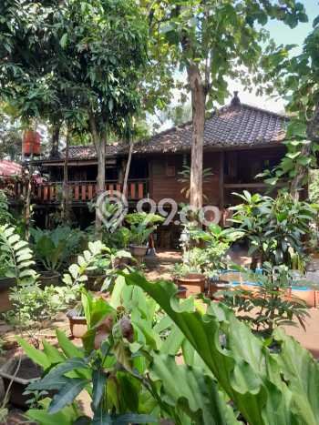 Dijual Rumah Luas Elegan Dengan View Eksklusif di Cibubur, Jakarta Timur Dijual Rumah Luas Elegan Dengan View Eksklusif di Cibubur, Jakarta Timur