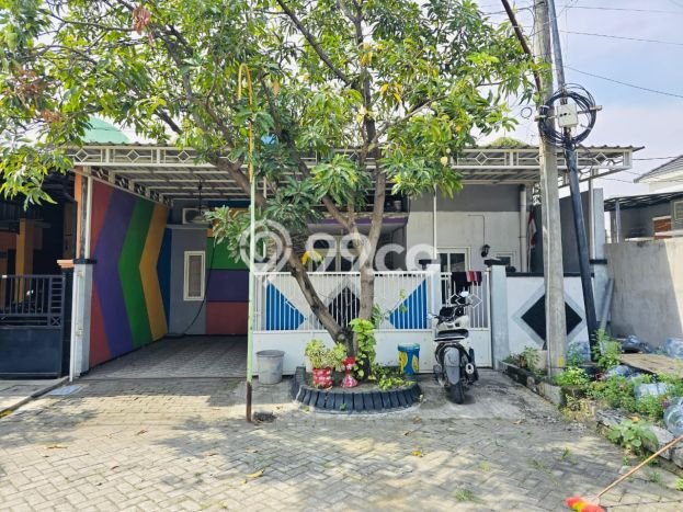 Rumah Modern Minimalis 2 Kamar Siap Huni di Manyar Rumah Modern Minimalis 2 Kamar Siap Huni di Manyar