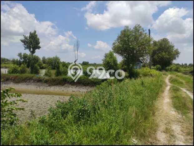 Tanah di Manyar, Gresik Luas 26567m2 Dijual Segera Tanah di Manyar, Gresik Luas 26567m2 Dijual Segera
