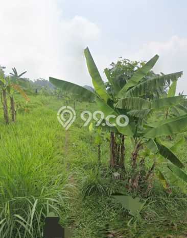 Tanah Kavling untuk Dijual di Prigen Pasuruan 6380m2 Tanah Kavling untuk Dijual di Prigen Pasuruan 6380m2