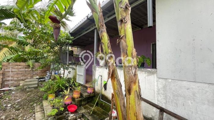 For Sale Hunian Rumah Terawat 4 KT di Balongbendo, Sidoarjo For Sale Hunian Rumah Terawat 4 KT di Balongbendo, Sidoarjo
