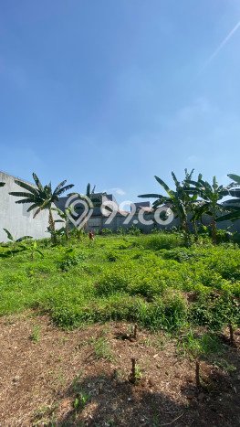 Jarang Ada! Tanah di Kebon Jeruk Punya Luas 868m2 SHM Jarang Ada! Tanah di Kebon Jeruk Punya Luas 868m2 SHM