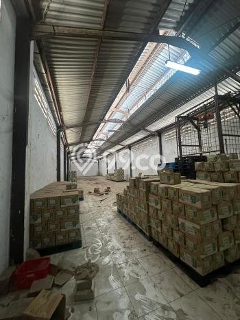 Unit Gudang Strategis di Penjaringan, Jakarta Utara Potensi Cuan Besar Unit Gudang Strategis di Penjaringan, Jakarta Utara Potensi Cuan Besar