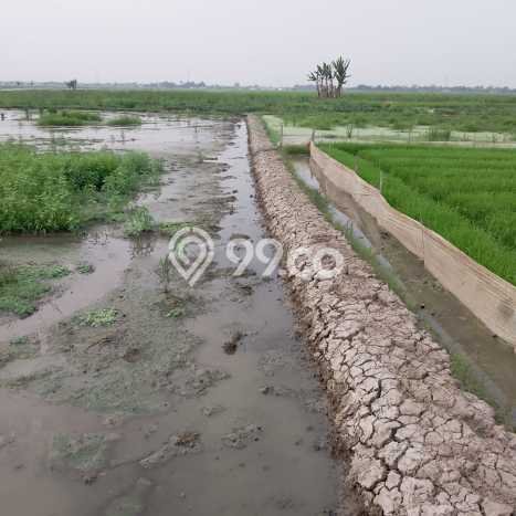 Tanah Siap Bangun Dijual di Bekasi Punya Luas 3100m2 Tanah Siap Bangun Dijual di Bekasi Punya Luas 3100m2
