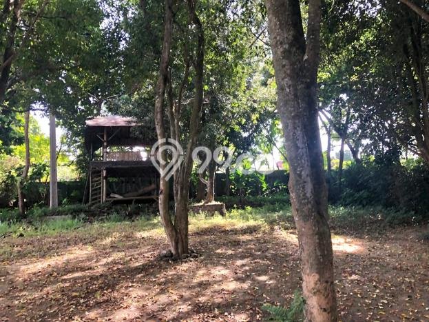 Untuk Dijual Tanah 5800m2 di Cimahi, Bandung Untuk Dijual Tanah 5800m2 di Cimahi, Bandung
