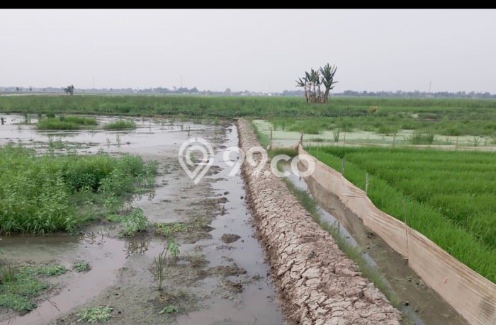 Tanah Siap Bangun Dijual di Bekasi Punya Luas 3100m2 Tanah Siap Bangun Dijual di Bekasi Punya Luas 3100m2