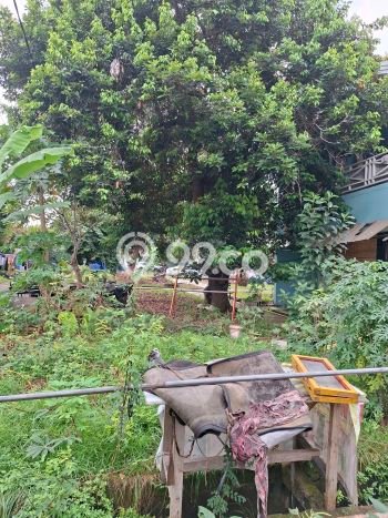 Tanah di Bekasi, Bekasi Luas 6000m2 Dijual Segera Tanah di Bekasi, Bekasi Luas 6000m2 Dijual Segera