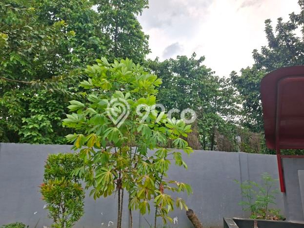Tanah Dijual Lokasi Strategis di Bekasi dengan Luas 2000m2 Tanah Dijual Lokasi Strategis di Bekasi dengan Luas 2000m2