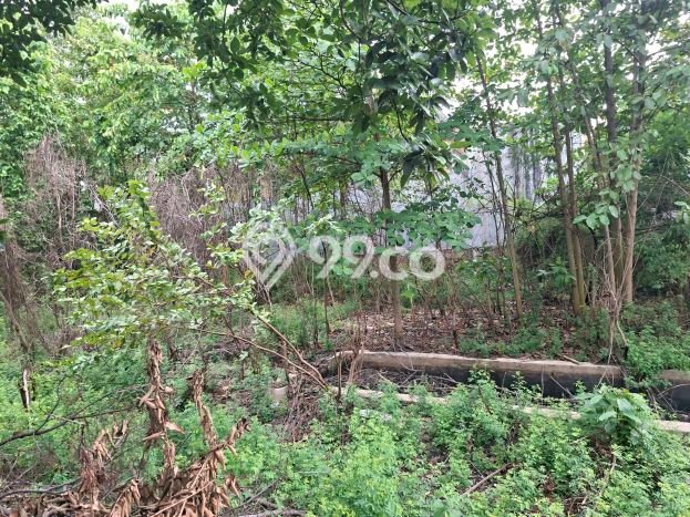 Tanah Dijual Lokasi Strategis di Bekasi dengan Luas 2000m2 Tanah Dijual Lokasi Strategis di Bekasi dengan Luas 2000m2
