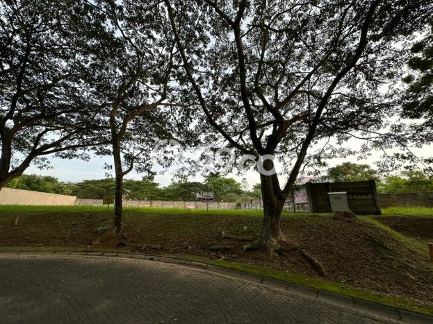 Kavling Tanah di Alang Alang Lebar Dijual Luas 542m2 Legalitas SHM Kavling Tanah di Alang Alang Lebar Dijual Luas 542m2 Legalitas SHM