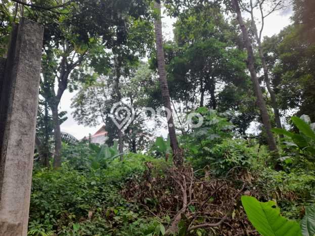 Disewakan Tanah Lokasi Strategis di Cilandak Jakarta Selatan 6700m2 Disewakan Tanah Lokasi Strategis di Cilandak Jakarta Selatan 6700m2