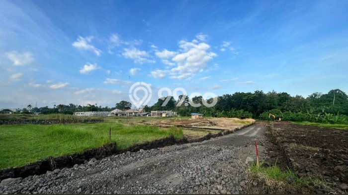 Jarang Ada! Tanah di Tabanan Punya Luas 350m2 SHM Jarang Ada! Tanah di Tabanan Punya Luas 350m2 SHM
