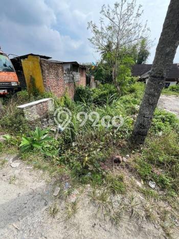 Kavling Tanah Dijual di Pakis Malang Spesifikasi 15631m2 Kavling Tanah Dijual di Pakis Malang Spesifikasi 15631m2