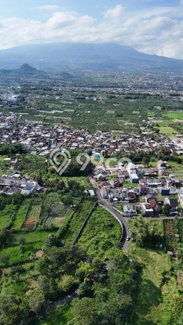 Tanah Dijual Lokasi Dau Malang SHM Tanah Dijual Lokasi Dau Malang SHM