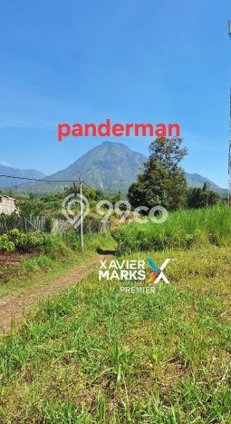 Kavling Tanah untuk Dijual di Batu, Malang, Luas 1652m2 Kavling Tanah untuk Dijual di Batu, Malang, Luas 1652m2