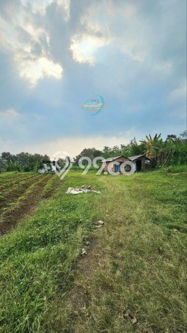 Gudang disewakan lokasi strategis Pakis Malang 350m2 Gudang disewakan lokasi strategis Pakis Malang 350m2