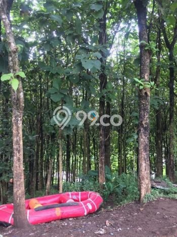 Jarang Ada! Tanah di Batu Punya Luas 10930m2 SHM Jarang Ada! Tanah di Batu Punya Luas 10930m2 SHM
