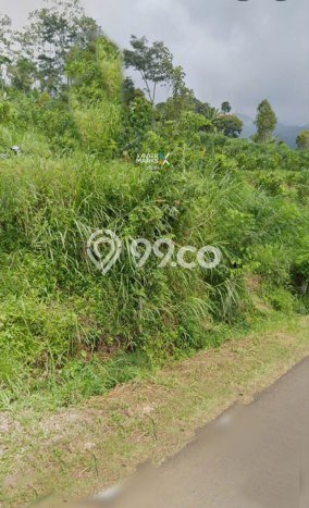Lahan Kosong Dijual di Malang dengan Area 2476m2 Lahan Kosong Dijual di Malang dengan Area 2476m2