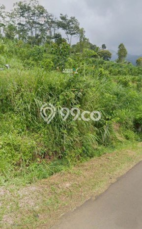 Lahan Kosong Dijual di Malang dengan Area 2476m2 Lahan Kosong Dijual di Malang dengan Area 2476m2