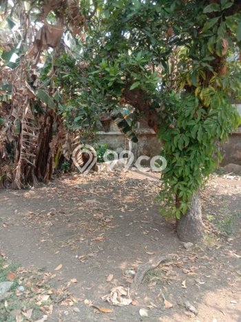 Tanah Dijual Lokasi Lowokwaru Malang SHM Tanah Dijual Lokasi Lowokwaru Malang SHM