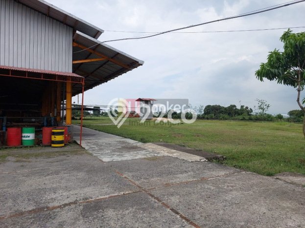 Gudang Area Premium di Kendal, Luas 5000m2m², For Rent Gudang Area Premium di Kendal, Luas 5000m2m², For Rent