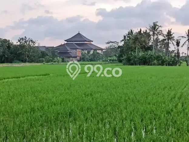 Kost Nyaman di Mengwi, Badung Cocok untuk Mahasiswa & Karyawan Kost Nyaman di Mengwi, Badung Cocok untuk Mahasiswa & Karyawan