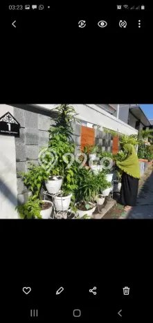 Sewa Kost Strategis di Krembangan, Surabaya Full Furnished Sewa Kost Strategis di Krembangan, Surabaya Full Furnished