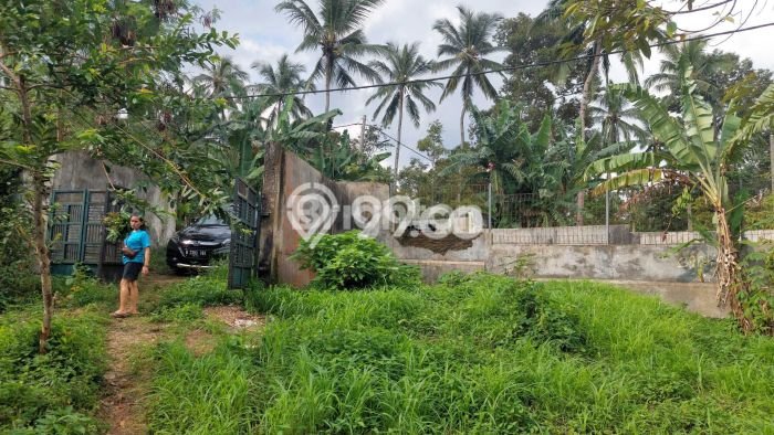 Tanah untuk Dijual Lokasi Kaduhejo, Pandeglang Luas 6815m2 SHM Tanah untuk Dijual Lokasi Kaduhejo, Pandeglang Luas 6815m2 SHM