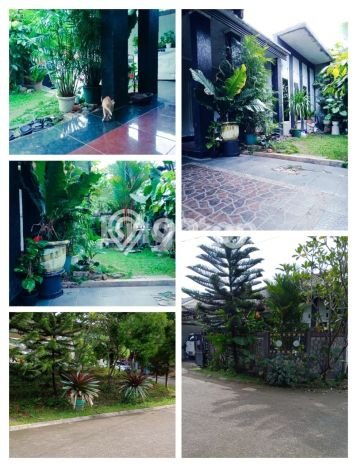 For Sale Rumah 3 Kamar Lokasi Strategis Nyaman dan Strategis di Cibinong For Sale Rumah 3 Kamar Lokasi Strategis Nyaman dan Strategis di Cibinong