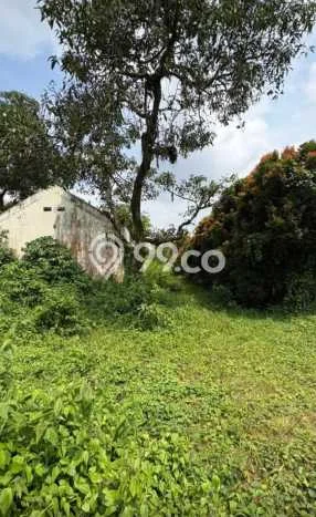Lahan untuk Dijual Lokasi Kemang, Bogor Luas 5026m2 SHM Lahan untuk Dijual Lokasi Kemang, Bogor Luas 5026m2 SHM