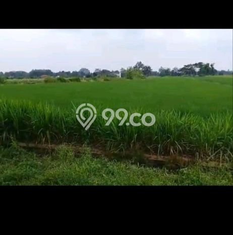 Tanah Dijual Lokasi Teras, Boyolali dengan Luas Tanah 2735m2 dan Status SHM Tanah Dijual Lokasi Teras, Boyolali dengan Luas Tanah 2735m2 dan Status SHM