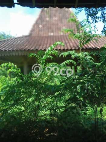 Jual Rumah Harga Miring Mojolaban Punya 4 KT & LT 2000m2 Jual Rumah Harga Miring Mojolaban Punya 4 KT & LT 2000m2