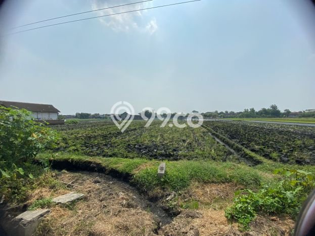 Kavling Tanah Dijual di Tasikmadu Karanganyar Spesifikasi 3300m2 Kavling Tanah Dijual di Tasikmadu Karanganyar Spesifikasi 3300m2