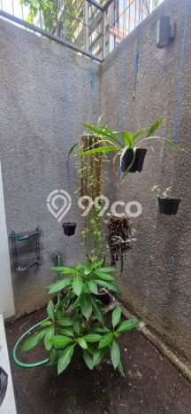 For Sale Rumah 4 Kamar Lokasi Strategis Nyaman dan Strategis di Denpasar Selatan For Sale Rumah 4 Kamar Lokasi Strategis Nyaman dan Strategis di Denpasar Selatan