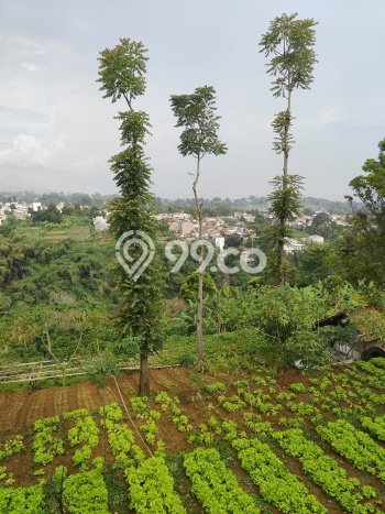 Hunian Nyaman Asri 3 KT Siap Pakai di Setiabudi Bandung Hunian Nyaman Asri 3 KT Siap Pakai di Setiabudi Bandung