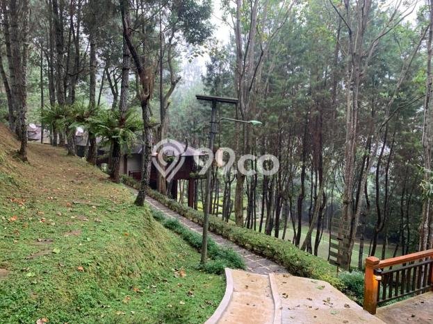 Aset Strategis! Vila Kawasan , Luas 38000m2m², ROI Tinggi untuk investasi Aset Strategis! Vila Kawasan , Luas 38000m2m², ROI Tinggi untuk investasi