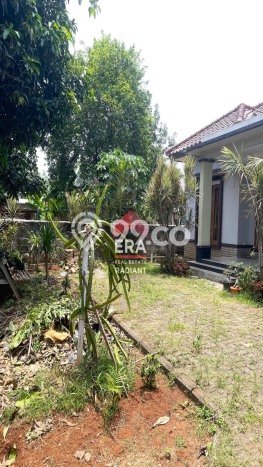 Rumah Luas Asri 3 KT Siap Huni di Bintaro Tangerang Selatan Rumah Luas Asri 3 KT Siap Huni di Bintaro Tangerang Selatan