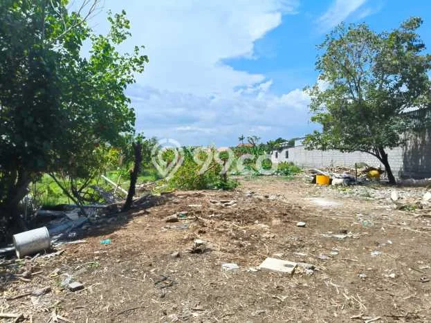 Untuk Disewa Tanah di Sanur Denpasar Seluas 127m2 Untuk Disewa Tanah di Sanur Denpasar Seluas 127m2