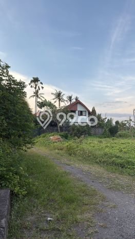 Kesempatan Terbaik! Vila di Gianyar, Area 1000m2m², Area Prospektif dengan potensi naik Kesempatan Terbaik! Vila di Gianyar, Area 1000m2m², Area Prospektif dengan potensi naik